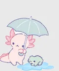 ในวันที่ฝนตก